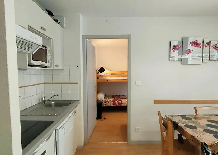 T3 Avec Parking Et Casier A Ski, - Fr-1-234-253 Apartment